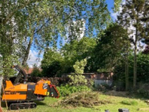 06_Abattage_Elagueur_Tournai_Alexandre_Tonneau_Broyage_tailles_grands_arbres